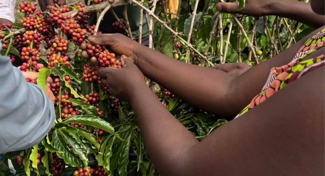 图片_2025-09-22_114056_715